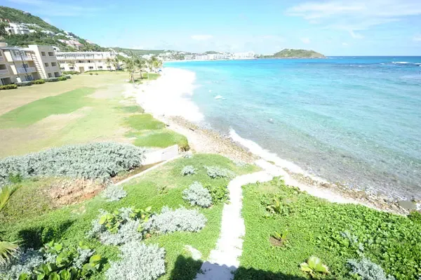 A tropical pathway leads you to the shore — the journey is part of the experience.
