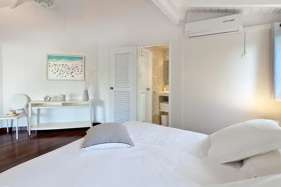 Ixora photo 45
